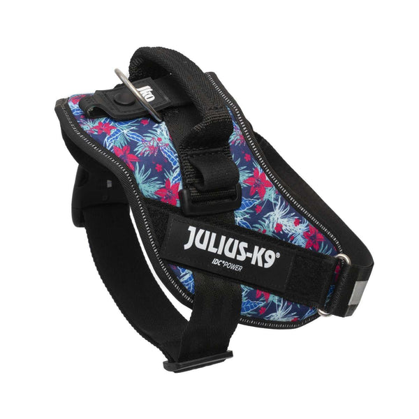 JULIUS K9 IDC Powerharness Hawaii LIMITED EDITION – CANIS CALLIDUS
