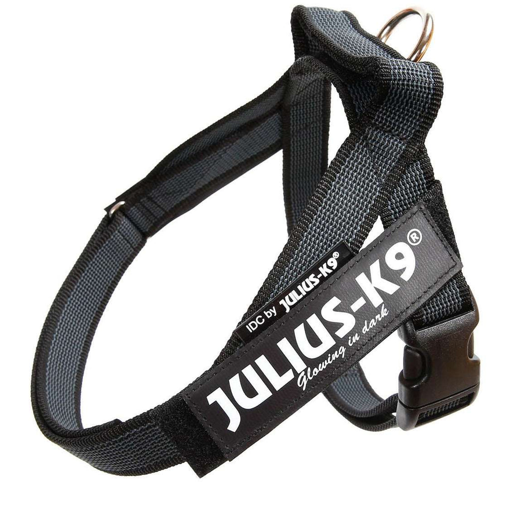 JULIUS K9 IDC Belt Harness Black - NEW GENERATION
