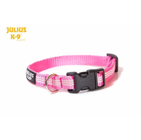 Julius fashion k9 puppy