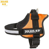 JULIUS K9 Original Powerharness Orange DISCONTINUED