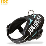 JULIUS K9 IDC Powerharness Sky Blue DISCONTINUED