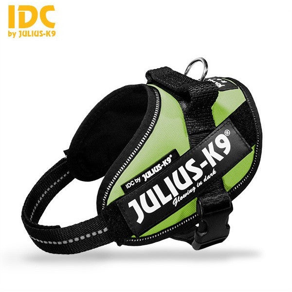 JULIUS K9 IDC Powerharness Kiwi DISCONTINUED