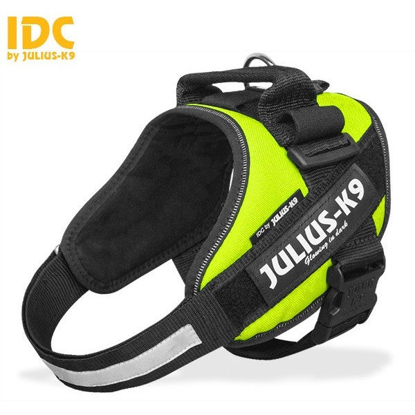 JULIUS K9 IDC Powerharness Neon-green – CANIS CALLIDUS Quality Dog