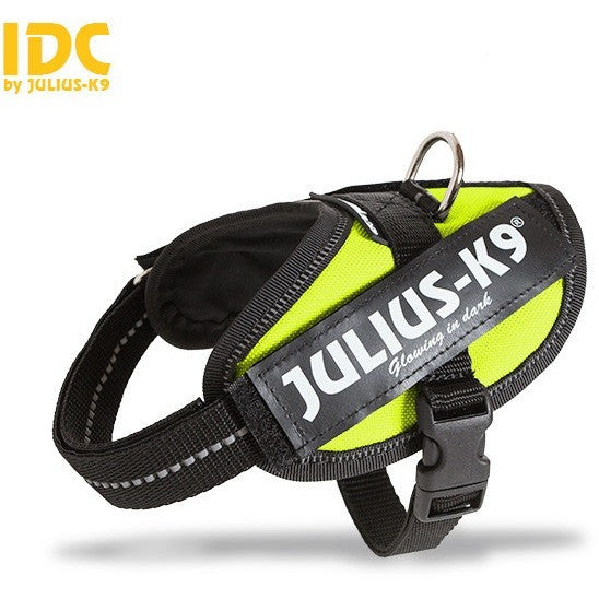 JULIUS K9 IDC Powerharness Neon-green – CANIS CALLIDUS Quality Dog