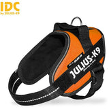 JULIUS K9 IDC Powerharness Orange DISCONTINUED