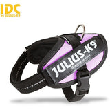 JULIUS K9 IDC Powerharness Pink