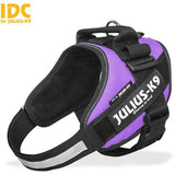 JULIUS K9 IDC Powerharness Purple DISCONTINUED