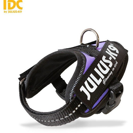 JULIUS K9 IDC Powerharness Purple DISCONTINUED