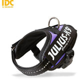 JULIUS K9 IDC Powerharness Purple DISCONTINUED