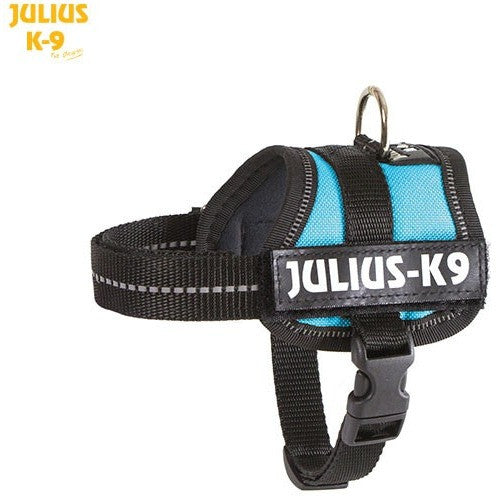 JULIUS K9 Original Powerharness Aquamarine DISCONTINUED