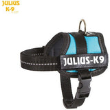 JULIUS K9 Original Powerharness Aquamarine DISCONTINUED