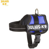 JULIUS K9 Original Powerharness Blue DISCONTINUED