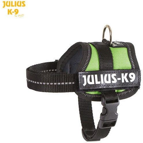 JULIUS K9 Original Powerharness Kiwi DISCONTINUED