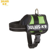 JULIUS K9 Original Powerharness Kiwi DISCONTINUED