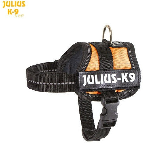 JULIUS K9 Original Powerharness Orange DISCONTINUED