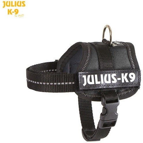 JULIUS K9 Original Powerharness Black DISCONTINUED