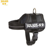 JULIUS K9 Original Powerharness Black DISCONTINUED