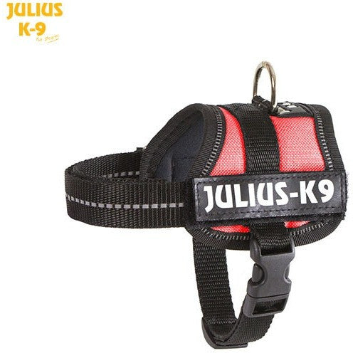 JULIUS K9 Original Powerharness Red DISCONTINUED