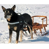 JULIUS K9 IDC Powerharness with Siderings (for pulling or use in the car)