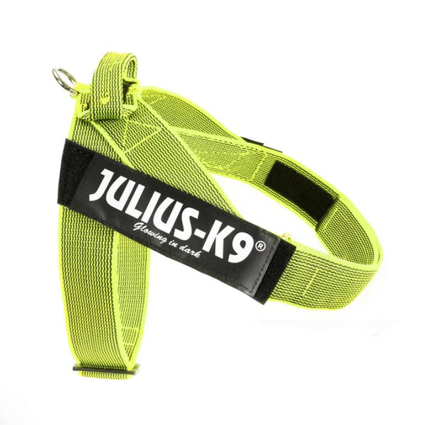 Julius k9 seat outlet belt