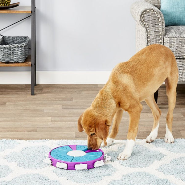 6 Genius Interactive Dog Toys From Nina Ottosson · The Wildest