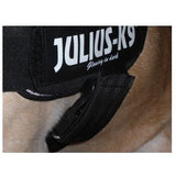 JULIUS K9 IDC Powerharness POLICE EDITION
