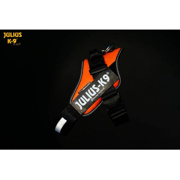 IDC-Powergeschirre-neon-orange