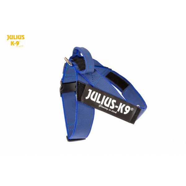 JULIUS K9 IDC Belt Harness Black - NEW GENERATION – CANIS CALLIDUS