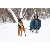 JULIUS K9 IDC Powerharness with Siderings (for pulling or use in the car)