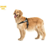 JULIUS K9 IDC Belt Harness Black - NEW GENERATION