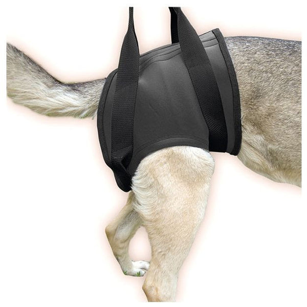 JULIUS K9 Rehabilitaion Harness Walking Support for Injured Dogs