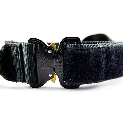 Schweikert Tactical K9 Cover Collar