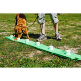SniffleDog Classic Scent Game