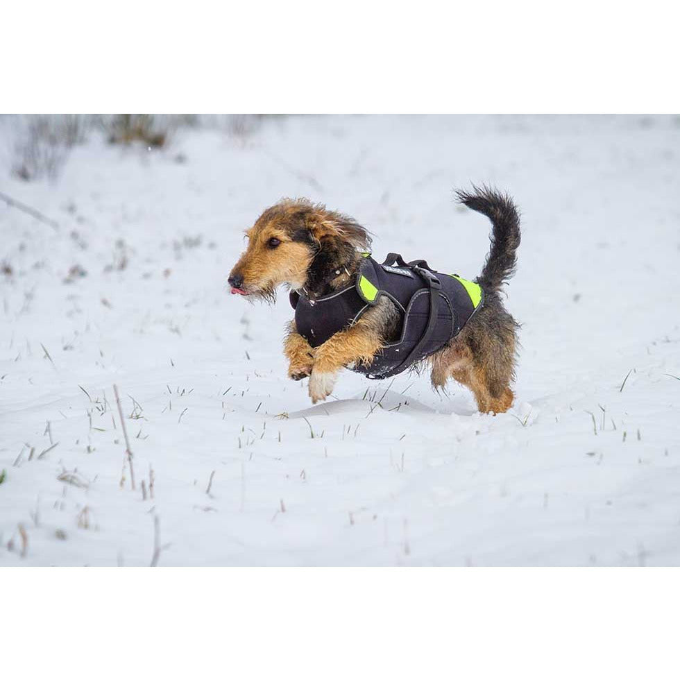 JULIUS K9 Multifunctional IDC 3in1 Dog Vest Life Vest CANIS