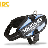 JULIUS K9 IDC Powerharness Sky Blue DISCONTINUED