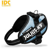 JULIUS K9 IDC Powerharness Sky Blue DISCONTINUED