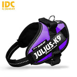 JULIUS K9 IDC Powerharness Purple DISCONTINUED