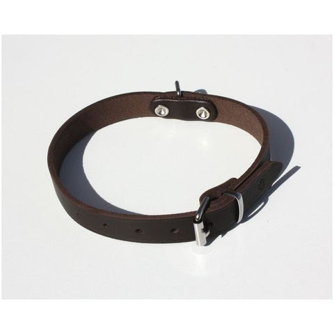 KLIN Simple Leather Collar for puppies and small breeds