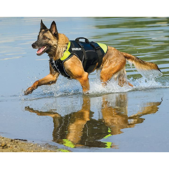 JULIUS K9 Multifunctional IDC 3in1 Dog Vest Life Vest – CANIS