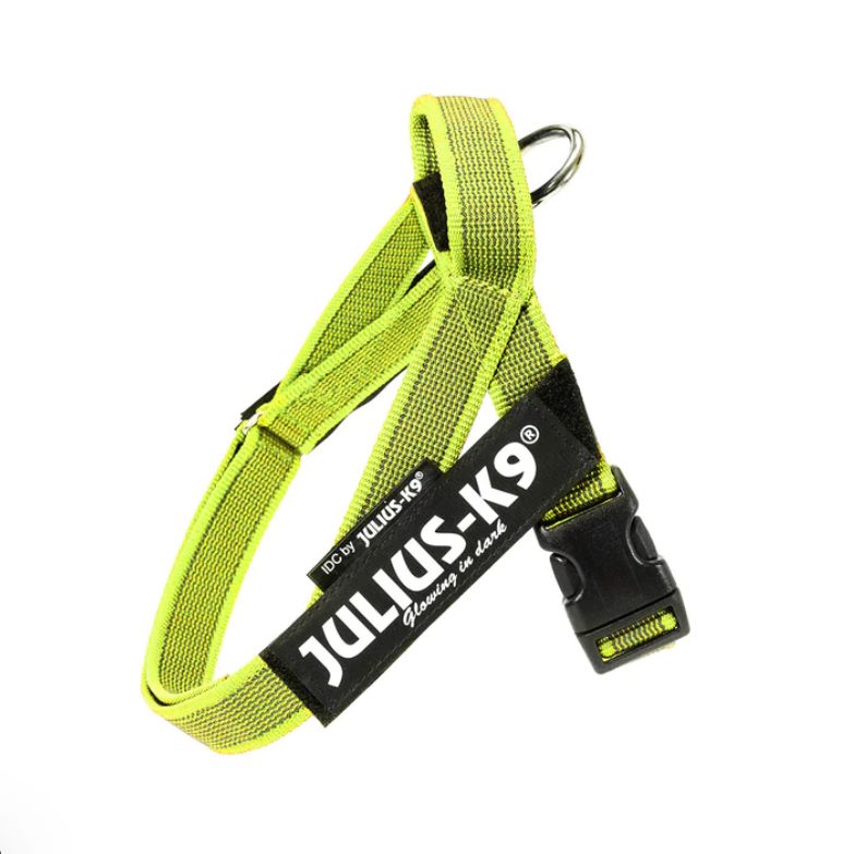 JULIUS K9 IDC Belt Harness Neon - NEW GENERATION
