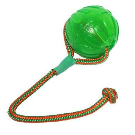 STARMARK Swing 'n Fling Treat Dispensing Chew Ball on a Rope
