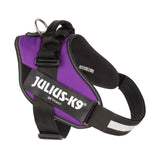 JULIUS K9 IDC Powerharness Dark Purple