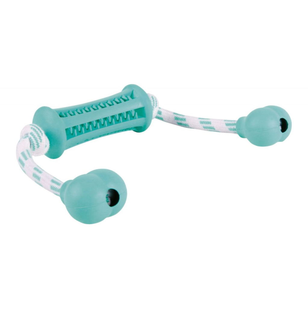Denta Fun Stick with Rope, mint flavored