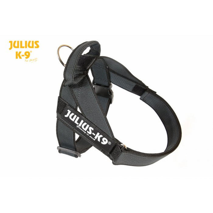JULIUS K9 IDC Belt Harness Black - NEW GENERATION – CANIS CALLIDUS Quality  Dog Supplies from Europe