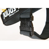 JULIUS K9 IDC Belt Harness Black - NEW GENERATION