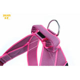 JULIUS K9 IDC Belt Harness Pink - NEW GENERATION