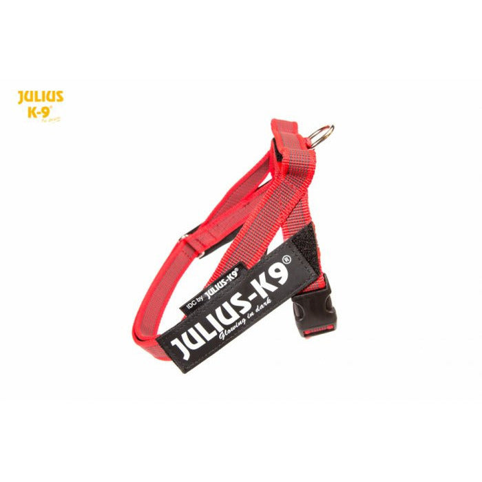 JULIUS K9 IDC Belt Harness Red - NEW GENERATION