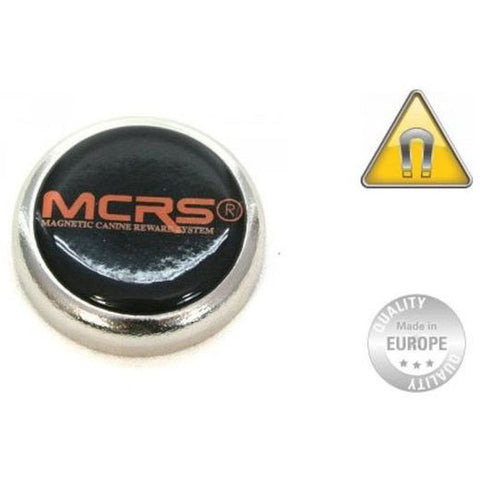MCRS Magnet Large