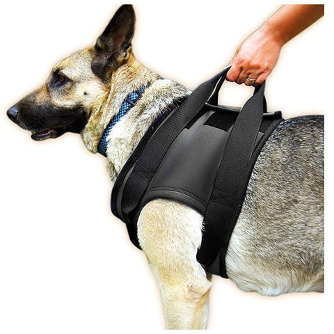JULIUS K9 Rehabilitaion Harness Walking Support for Injured Dogs (Shoulder)