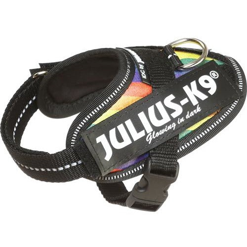JULIUS K9 IDC Powerharness Rainbow – CANIS CALLIDUS Quality Dog